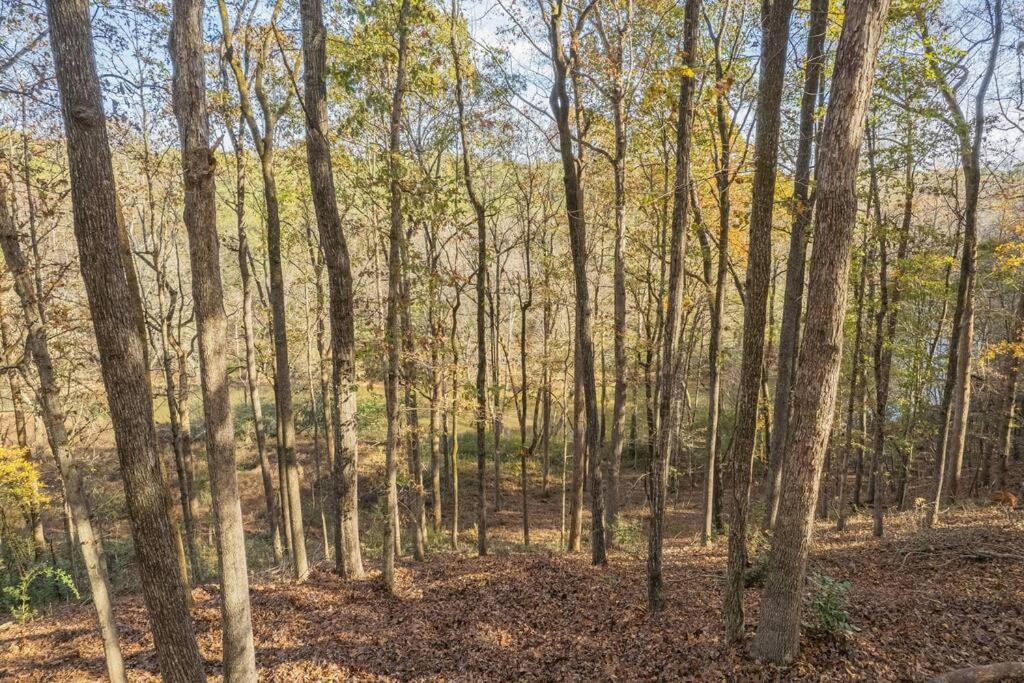 Large Luxury House, 4 King Beds & 21 Total, Hot Tub, Theater, Fireplace, Game Room, Ping-pong, Pool Table, Air Hockey, Arcade, River, Big Kitchen, Porch, Quiet, Good For Families And Large Groups, Near Uga Golf Course, Close To Uga & Stanford St Villa