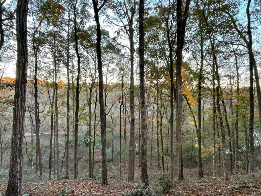 Large Luxury House, 4 King Beds & 21 Total, Hot Tub, Theater, Fireplace, Game Room, Ping-pong, Pool Table, Air Hockey, Arcade, River, Big Kitchen, Porch, Quiet, Good For Families And Large Groups, Near Uga Golf Course, Close To Uga & Stanford St Athens